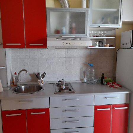 קוסטינסטי Nasty Apartament מראה חיצוני תמונה